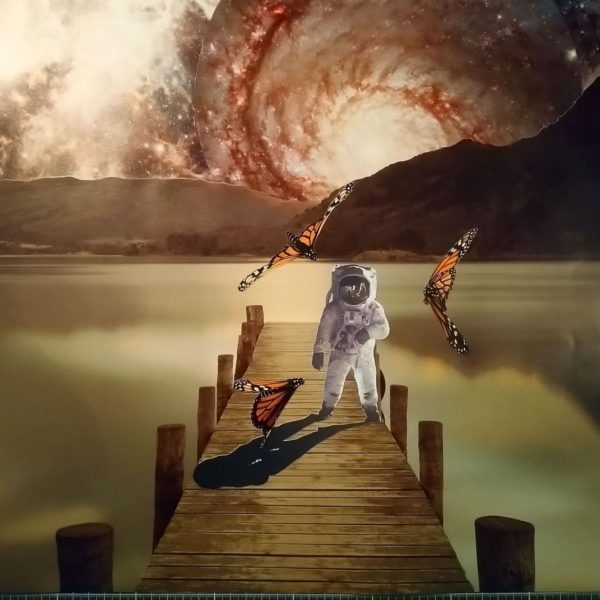 création collage artistique espace papillons chaos revenir