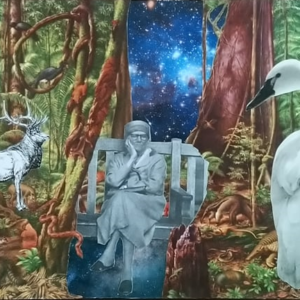 collage artistique banc vieille dame forêt ciel étoilé