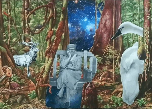 collage artistique banc vieille dame forêt ciel étoilé