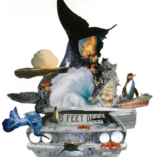 Collage 6 feet deep océan écologie baleine