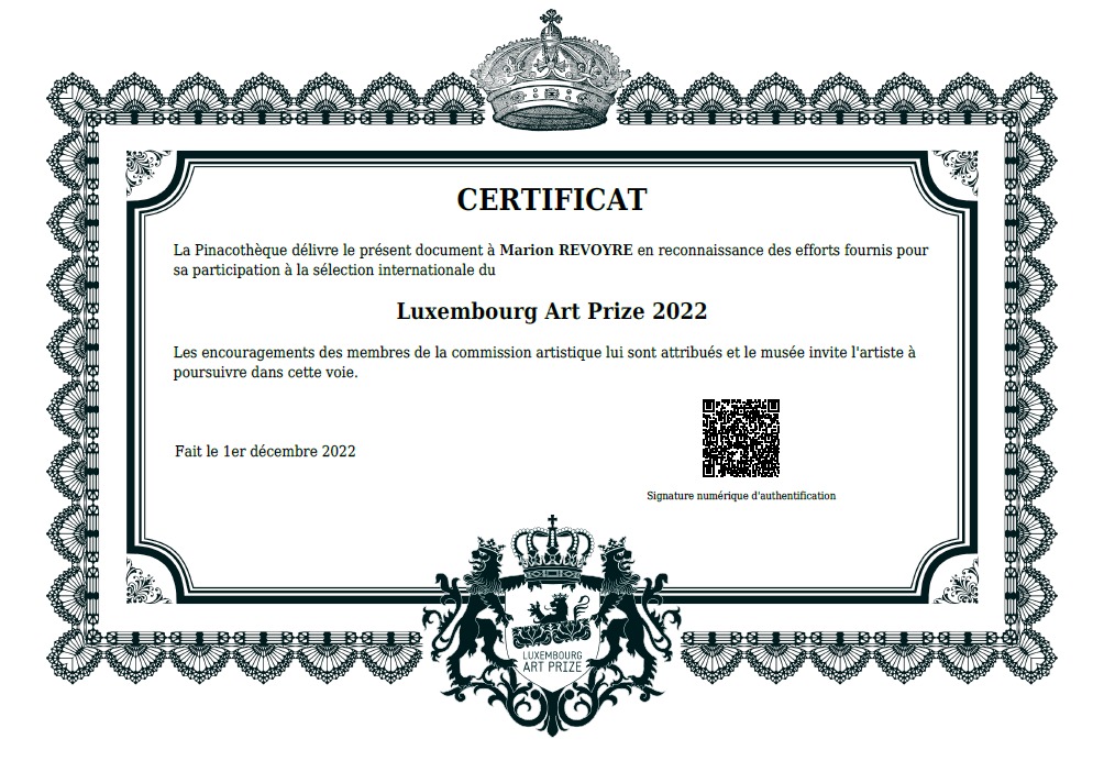 certificat luxembourg art prize