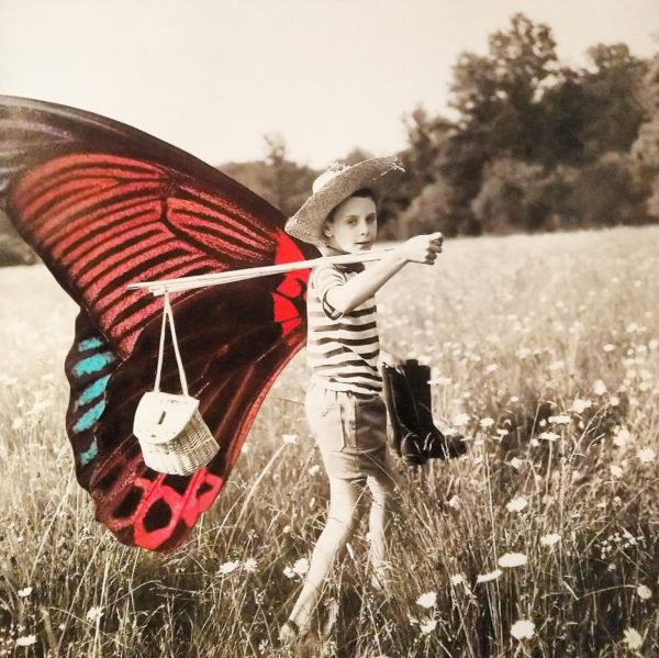 Collage artistique Doisneau papillon