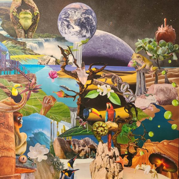 Collage artistique eden couleurs vives voyage rêve espace