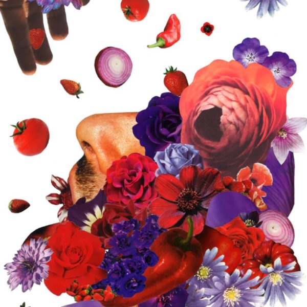 SUCS II - Sucer les fleurs, sucer les coeurs