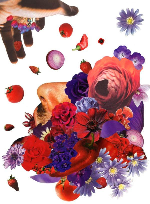 SUCS II - Sucer les fleurs, sucer les coeurs