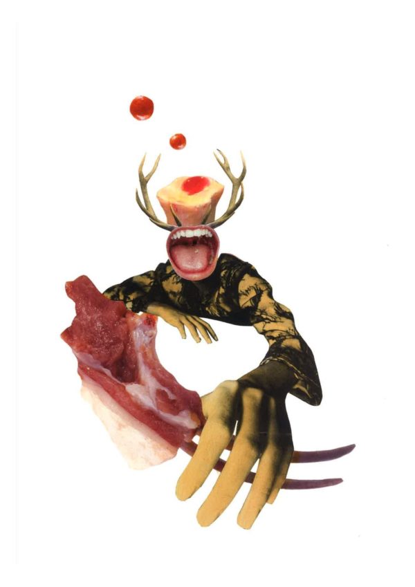 Viande #1 collage artistique gourmandise sang