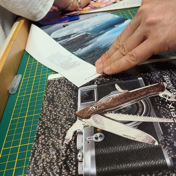 atelier collage entreprise et école pour tous