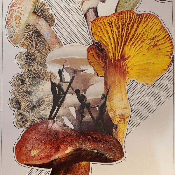 Collage artistique bolet joli danse dessin couleur