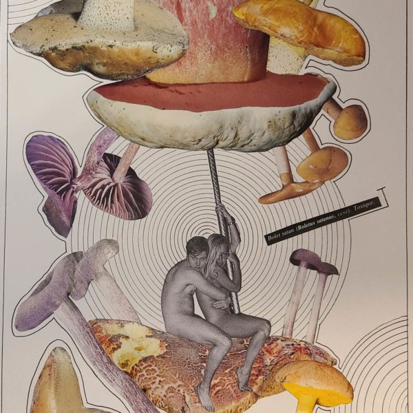 bolet satan collage diabolique dessin couple