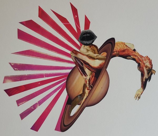 saturne collage écorché marion revoyre viande #2