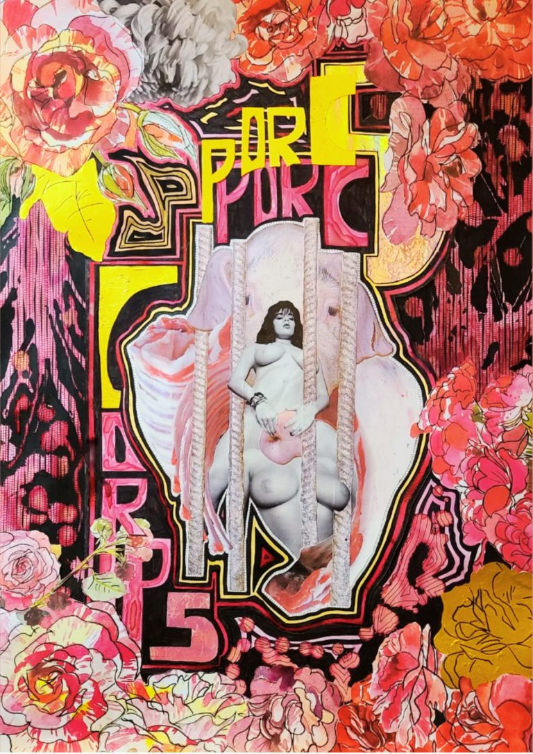 Collage porcs à corps art organique jus dessin betterave viande