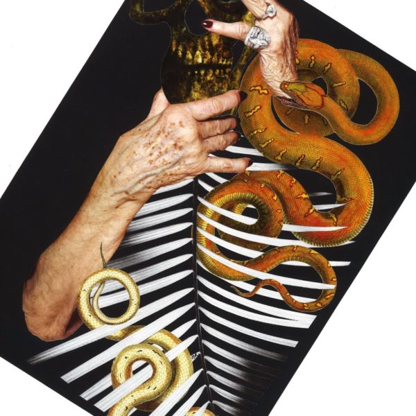 Vanité collage art temps qui passe vieillesse serpents squelette