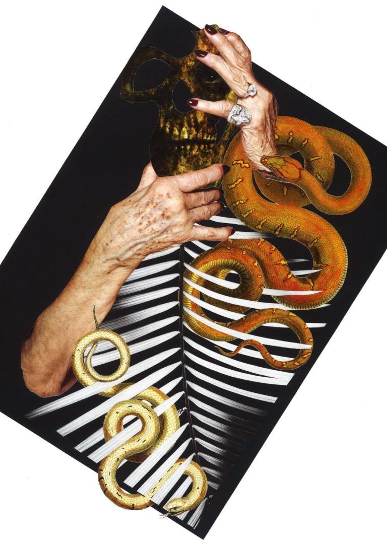 Vanité collage art temps qui passe vieillesse serpents squelette