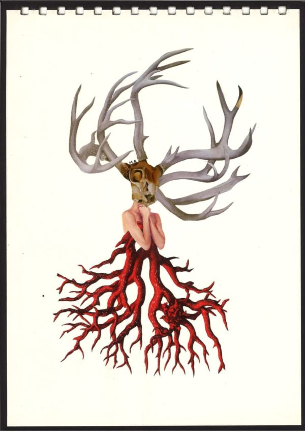 Chimère #1 collage artistique animal métamorphose cerf racines