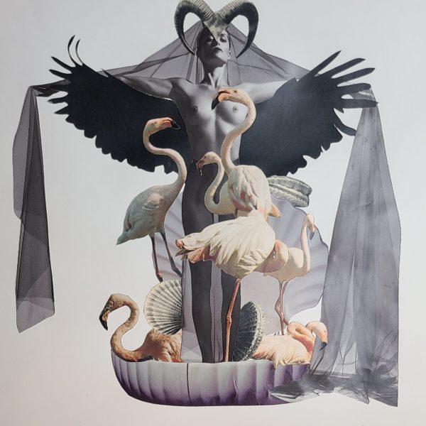 Venus is born with flamingos collage artistique naissance coquillage boticelli