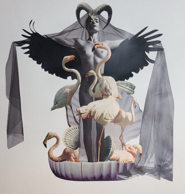 Venus is born with flamingos collage artistique naissance coquillage boticelli